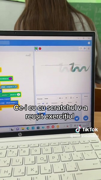 #informatica #scratch #fyp #foryoupage #morarsandrei