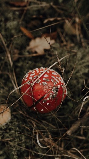 113K views · 70 reactions | Der fremde Mann spricht sie an und legt...