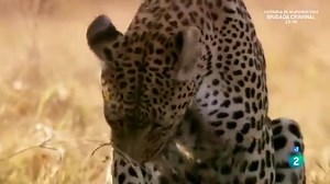 139K views · 4.6K reactions | Cazadores creativos #documental. | Cosmos-Geologia-DOCUMENTAL | Facebook