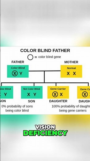 Color Vision Deficiency Genetic Inheritance Explained Simply