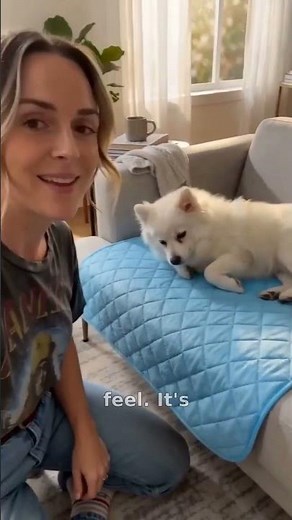 Instant Chill: PawHaus Cool Mat for Calm Dogs