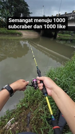 mancing casting di sungai 🔥🔥