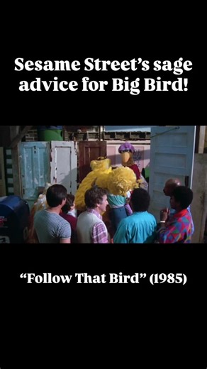 Jake 💚🎶🎹 on Instagram: "“Don’t forget to breathe! In and out!” #muppets #sesamestreet #followthatbird #bigbird #mariasesamestreet #bobsesamestreet #lindasesamestreet #countvoncount #grover #cookiemonster #oscarthegrouch #missfinch"