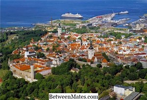 MRG ve fMRI Arasındaki Fark - Diğerleri 2026