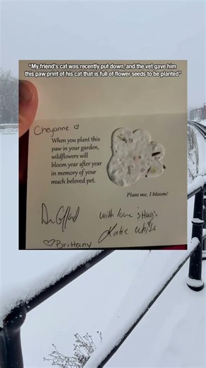 This Vet Gave A Grieving Owner A Paw Print Full Of Flower Seeds 🌸