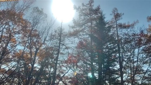 Hirokazu Tada on Reels