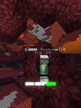 IP: Statelight.de #smp #minecraft #hacking #xray #survival