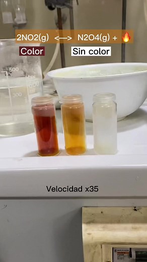 Dymup7agavwn's N2O4 Chemistry Question Explained