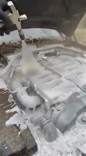 Washing an engine like this feels wrong 😬 #engineclean #pressurewashing #foamwash #cardetailing