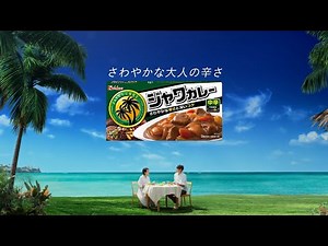 House ジャワカレー CM 「空とジャワカレー」篇 15秒
