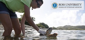 Merit-based Scholarships at Ross University School of Veterinary Medicine