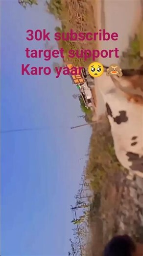 Bhai chara on top viral video 😂😂😝 #funny #comedy #music uk boy 07 edeter #funnycomment