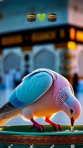 chhod fikra duniya ki Chal madine chalte Hain