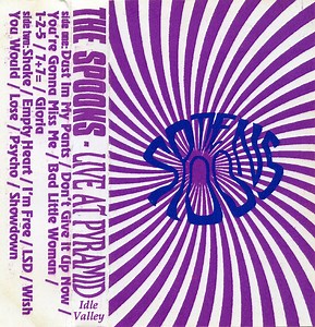 The Spoons - Live At Pyramid