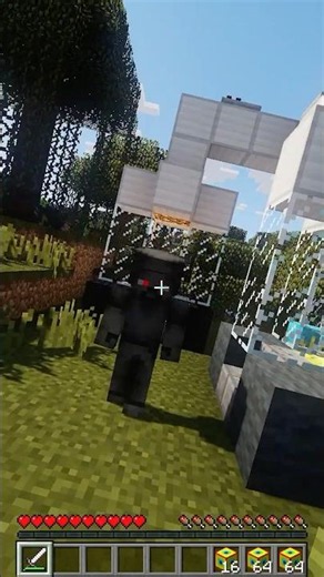 I am Steve 30