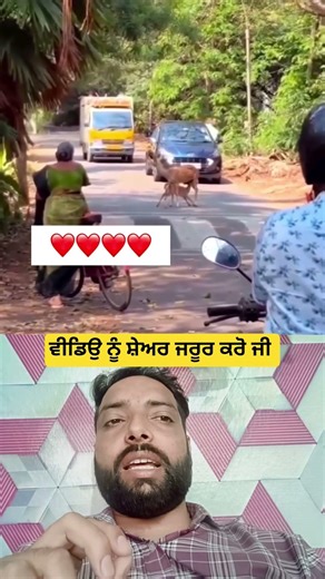 ਆਪਣੇ ਬੱਚੇ ਨੂੰ ਦੁੱਧ ਪਿਲਾਉਣ ਦੀ ਹਿਰਨੀ 🙏🙏 #shortsviral #viral #shorts #trending #motivation #ytshorts