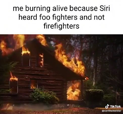 Carl Brutananadilewski on TikTok