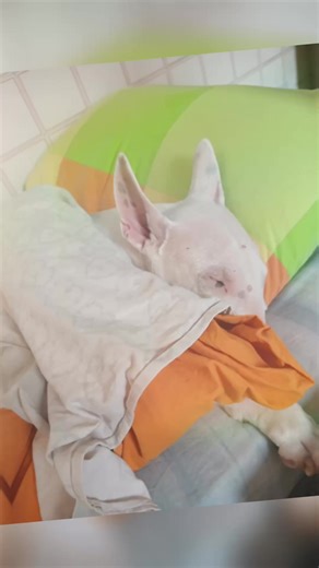 Video di Annarella Lotito (@annarellalotito) con Angeli senza ali - Laura Danieli