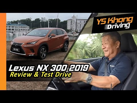 Lexus NX 300 2019 Driven Hard [Test Drive Review] | YS Khong Driving