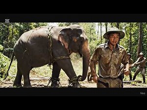 They Fought a GIANT PYTHON to Save a Mother Elephant! | Real Jungle Rescue Story 🐘🐍