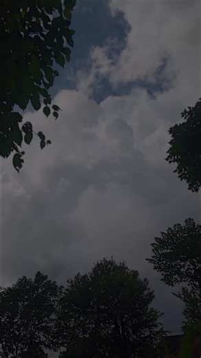 Discover My Type of Song: Lyrics and Beats