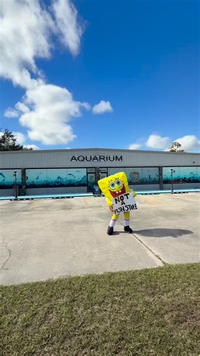 2.3K views · 149 reactions |  Not a Fish Store!  We promise —...