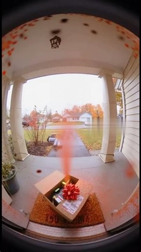 BEEP BEEP! Porch pirate gets a surprise! Like and Subscribe!