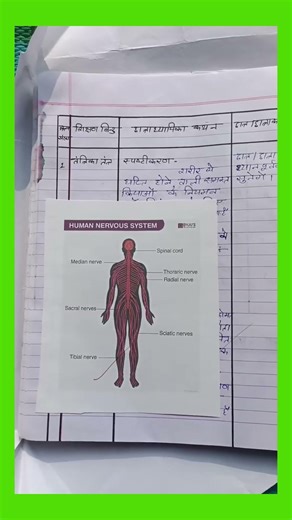 Biology lesson plan 8