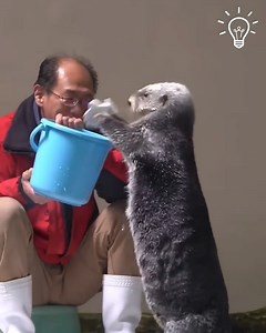 Introducing the cutest otter 🦦 | Pretty Hairstyles