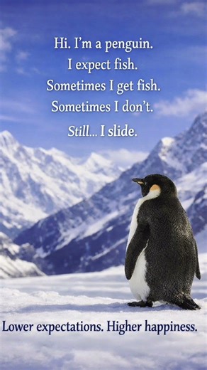 Beautiful things - penguin edition #shorts