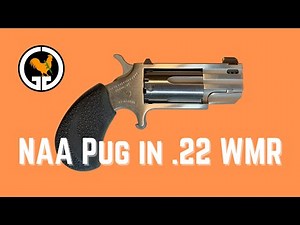 NAA Pug in .22 WMR