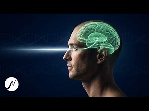 These Frequencies Support Eye Recovery: 787 Hz + 7 Hz Theta for Visual Relaxation