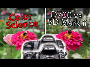 Color Science CANON 5D Mark ii vs NIKON D700 | Which Is Best?