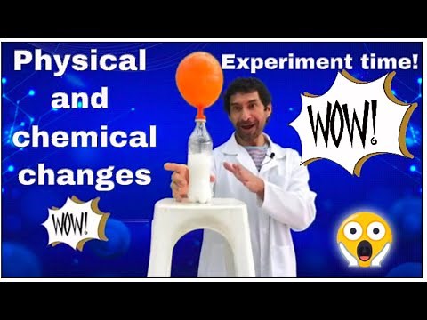 Physical & chemical Change Experiment time!
