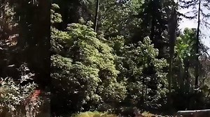 Shake It Up S02E24 Boot It Up - video Dailymotion