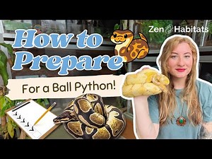 Ball Python Care Guide: What to Know Before Bringing One Home