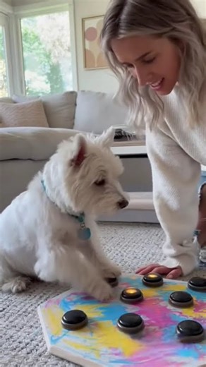 Dog: This button is amazing