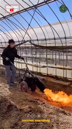 Amazing Fire Weeding Machine