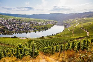 Exploring Rhine Wines for a Taste of Germany | LoveToKnow