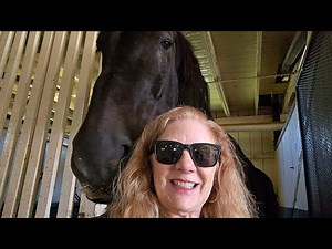 Discover the Magic of the Kentucky Horse Park