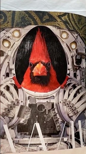 Are You Ready To Explore The World Of Creative Mixed Media Collage?