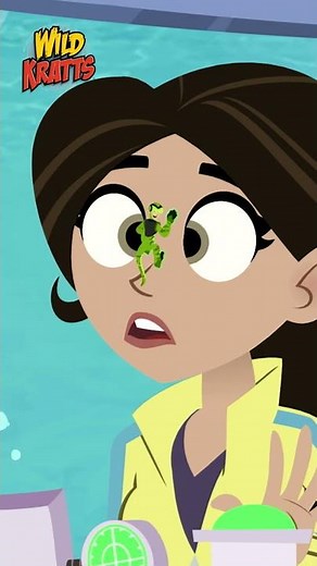 WILD KRATTS | Southern Stingray