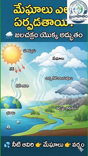 How Are Clouds Formed? ☁️ | How Does Rain Happen? | Water Cycle Explained in 1 Minute