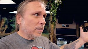 105K views · 3K reactions | Pairing two of our Chameleons at The Reptarium reptile zoo! | Brian Barczyk | Facebook