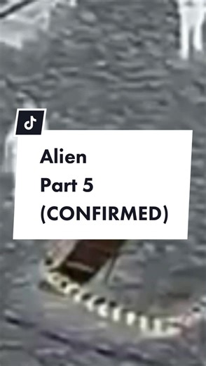 We’re all freaked out. #alien #area51 #ufo #aliensighting #ufosighting #uap #spaceobject #creepy #fyp #scary #meteor #et #ufoalien #alieninvasion