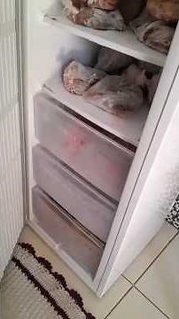 Is the Electrolux 197-liter FEI23 freezer worth it?