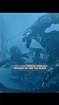 Lone Wolf, the most formidable Yautja warrior, versus the mutated Predalien hybrid.