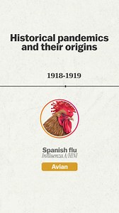 Historical Pandemics & Their Origins According to the Centers for Disease Control and Prevention (CDC), three out of four emerging infectious human diseases originate in animals. Maybe it's a sign that we should stop exploiting animals 🙅 The consequences are huge 💔 | Plant Based News