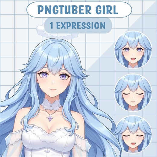 Cute Pngtuber Girl | Anime Girl Pngtuber Premade Model | Veadotube Model | Cute PNG Tuber Model | Vtuber Model, Reactive PNG, for Streaming - Etsy