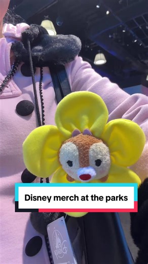 Exciting New Disney Merchandise at the Parks